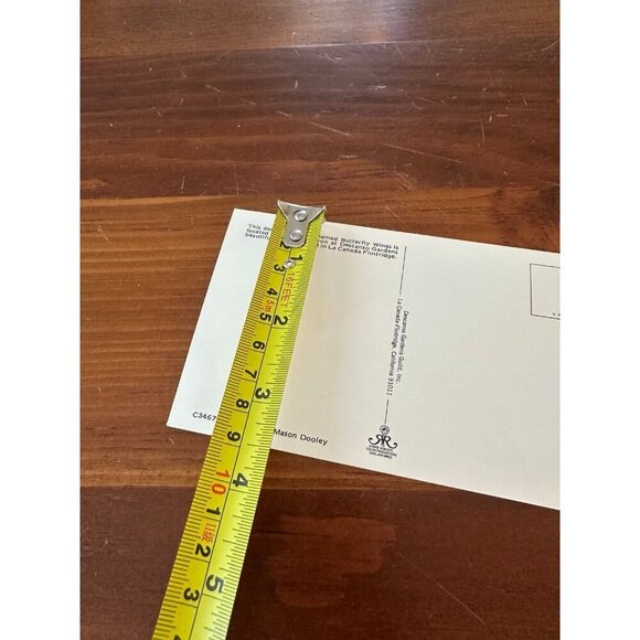 Vintage Butterfly Wings Camellia Postcard – Descanso Gardens, La Cañada Flintrid - Picture 10 of 10